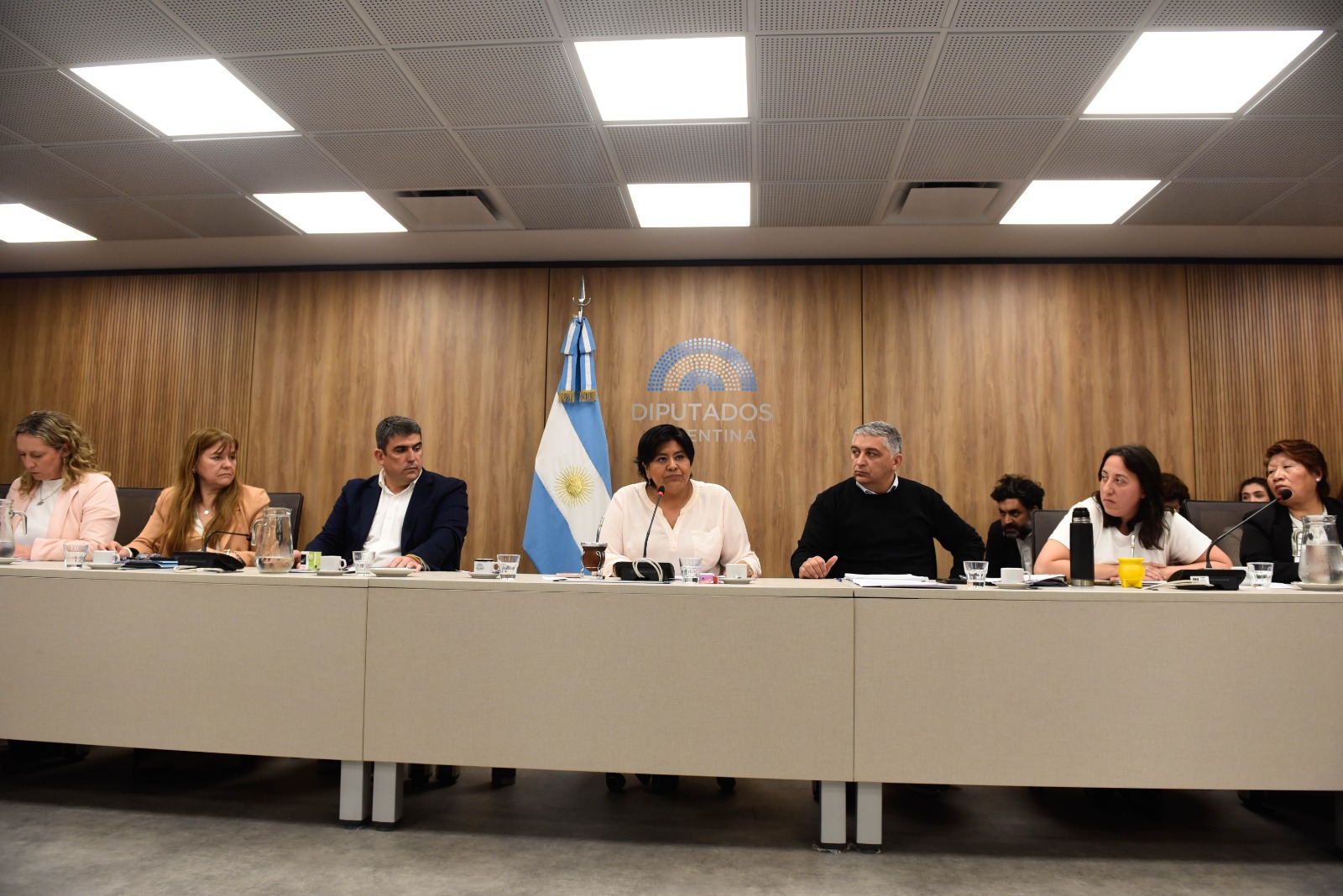 Galeria de imagenes de la noticia AVANZA EL TRABAJO DE LA BICAMERAL QUE DESIGNARÁ AL DEFENSOR DE LOS DERECHOS DE LA NIÑEZ Y ADOLESCENCIA